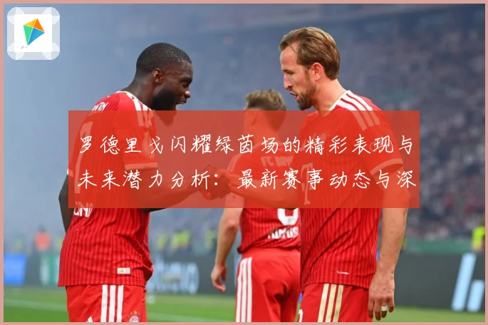 罗德里戈闪耀绿茵场的精彩表现与未来潜力分析：最新赛事动态与深度分析