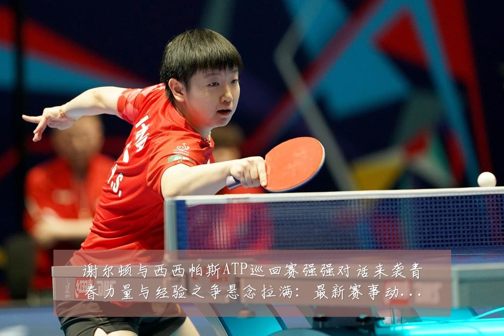 谢尔顿与西西帕斯ATP巡回赛强强对话来袭青春力量与经验之争悬念拉满:最新赛事动态与深度分析
