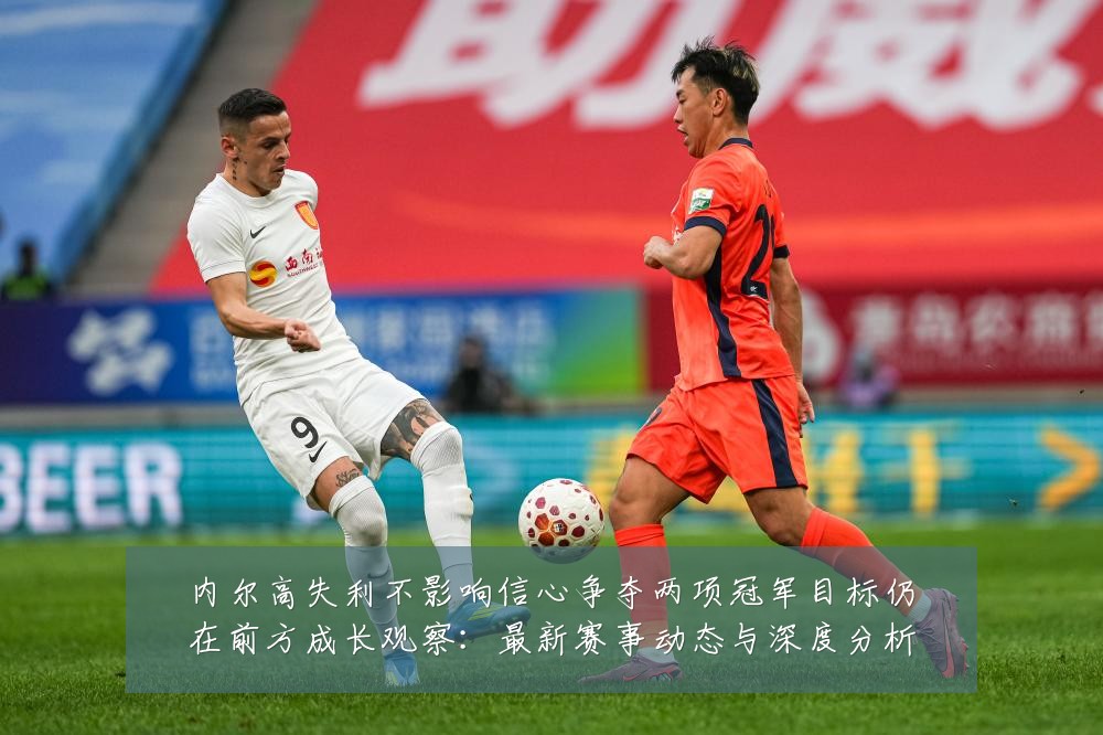 内尔高失利不影响信心争夺两项冠军目标仍在前方成长观察：最新赛事动态与深度分析